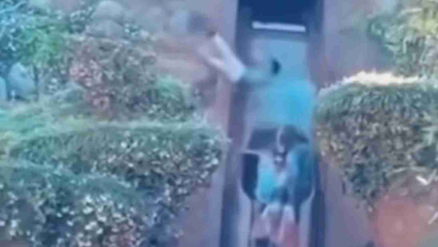 Two people standing in a narrow path between trimmed hedges, near a doorway or wall, viewed from a distance (blurry).