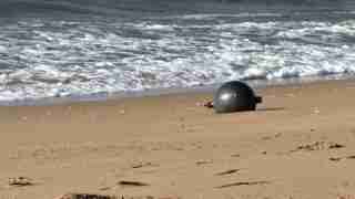 Black buoy washed up on a sandy beach near the ocean shoreline with small waves behind it.
