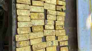 Row of gold bullion bars stacked on a wooden surface inside a ship or crate.