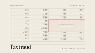 An old-style spreadsheet showing rows 01–24 and columns A–D with a highlighted box labeled ESTIMATED LOSS over a tax-fraud infographic.