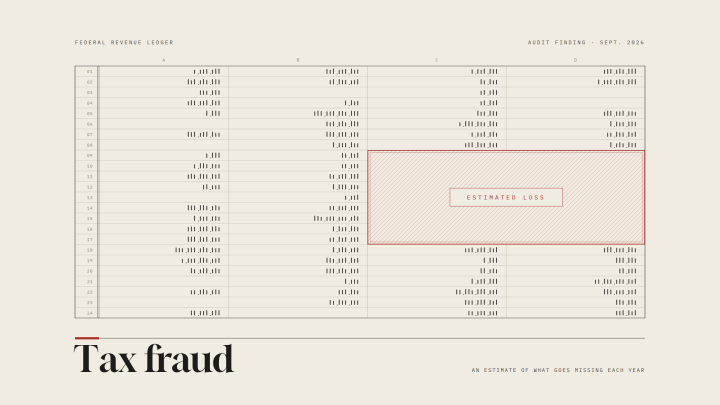 An old-style spreadsheet showing rows 01–24 and columns A–D with a highlighted box labeled ESTIMATED LOSS over a tax-fraud infographic.